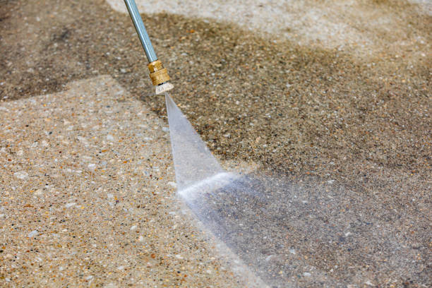 Best Roof Washing  in Burns Harbor, IN